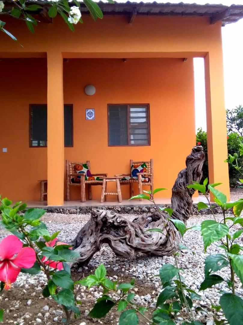 Kamili View Apartments Kiwengwa  Luaran gambar